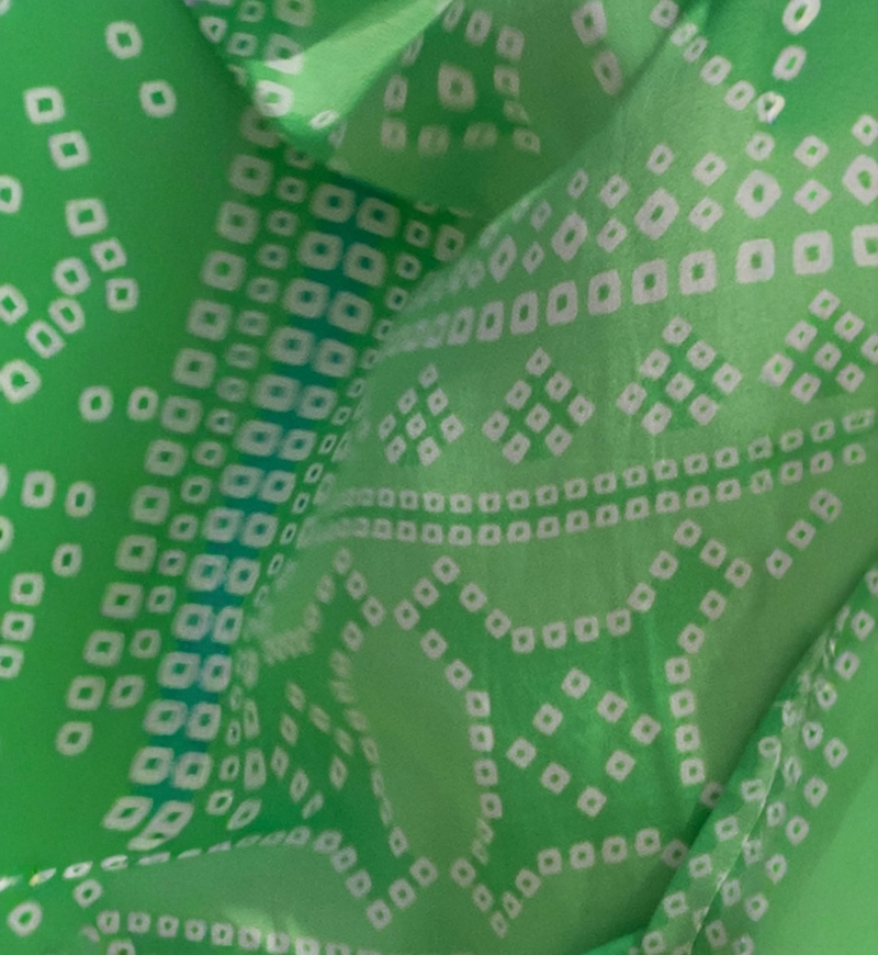 Vestido Largo Jorja - verde - pechera decorada - mangas largas - bohemio - Miss June Paris - 5